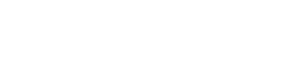 logo human in progress